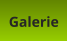 Galerie